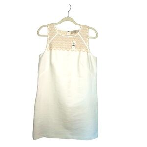 NWT Ann Taylor LOFT Ivory Dress With Scallopped Neckline Detail- Size 10 - CB 4